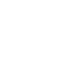 brake dust damaged wheel icon