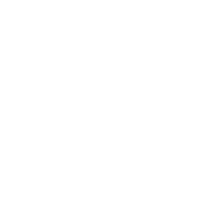 brake dust damaged wheel icon